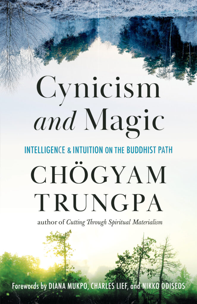 Book cover for Cynicism and Magic